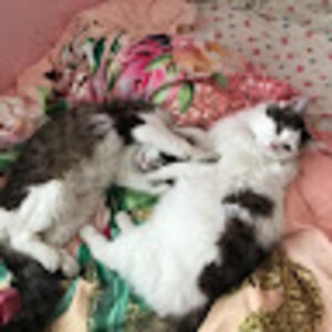 Meet your Posher, Elle